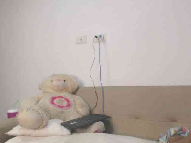 Polet-Lambertt webcam