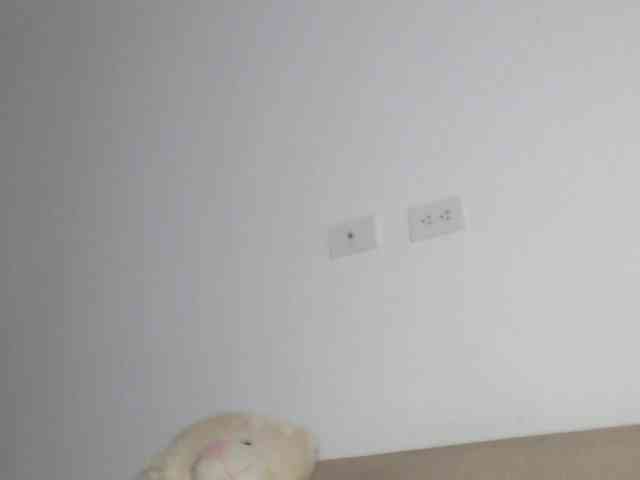 Polet-Lambertt webcam