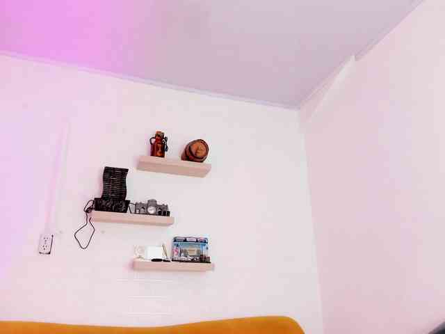 Miaawild webcam
