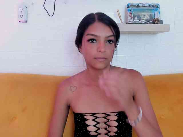 Miaawild webcam