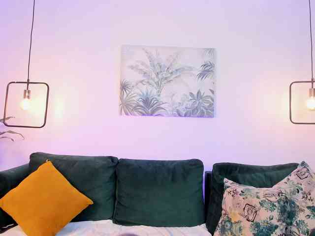 Miaawild webcam