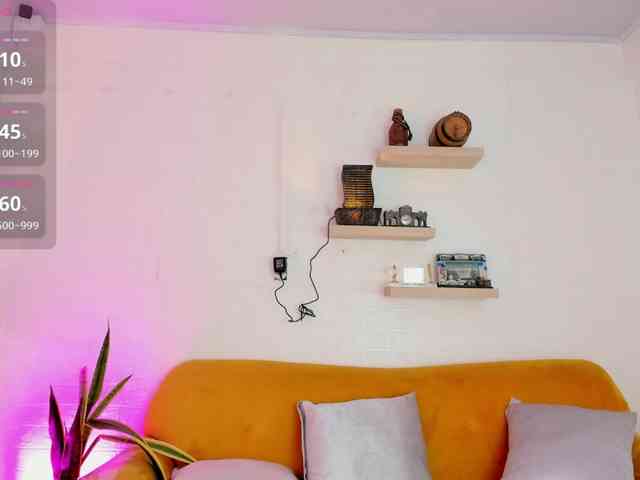 Miaawild webcam