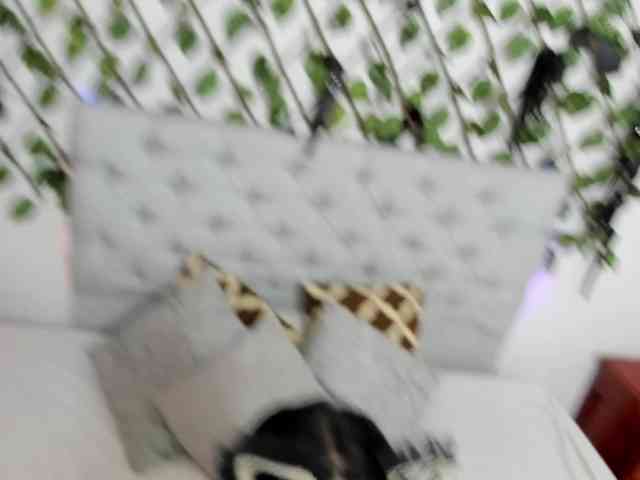 YaraWilliam webcam
