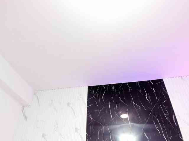 SophiaaSnow webcam