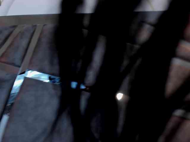 Abbyyparker webcam