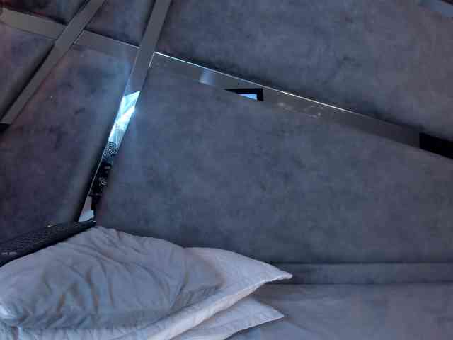 Abbyyparker webcam
