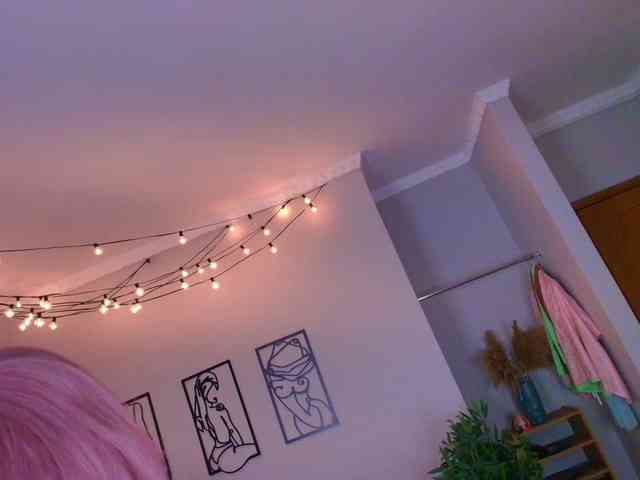 Daine-Pastry webcam