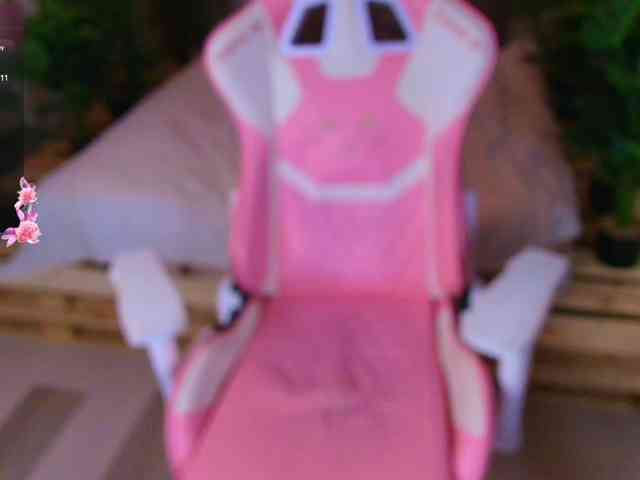 Daine-Pastry webcam