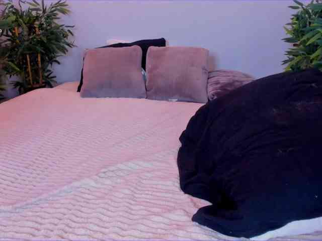 Daine-Pastry webcam