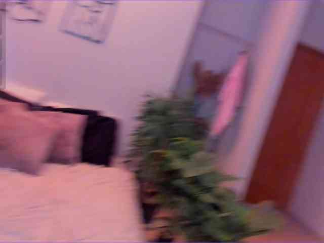 Daine-Pastry webcam