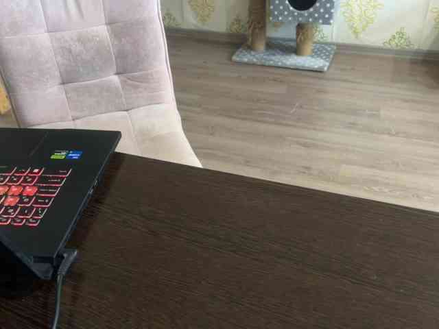 MistressBunny webcam