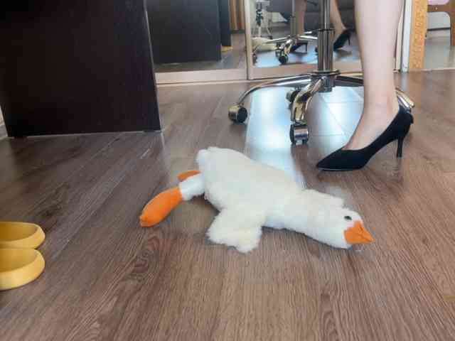 MistressBunny webcam