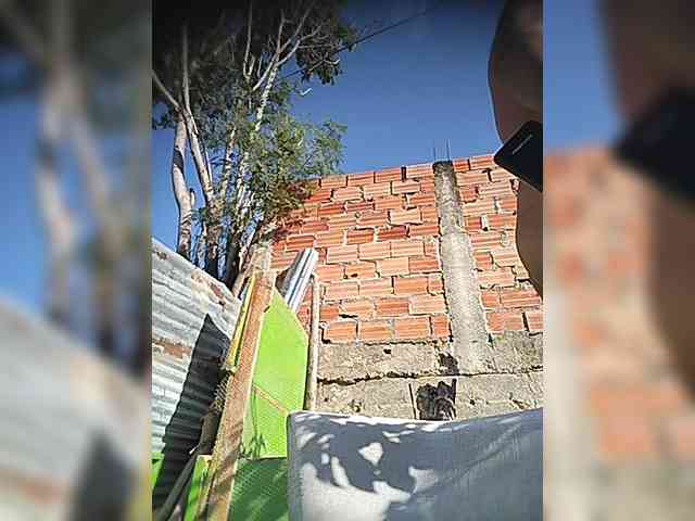 Alexcandela1