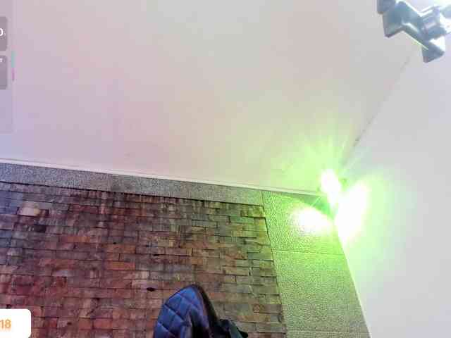 kloey-hoot webcam