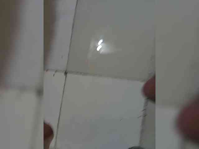 nishh24