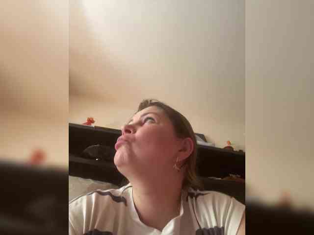 PEETRAA webcam