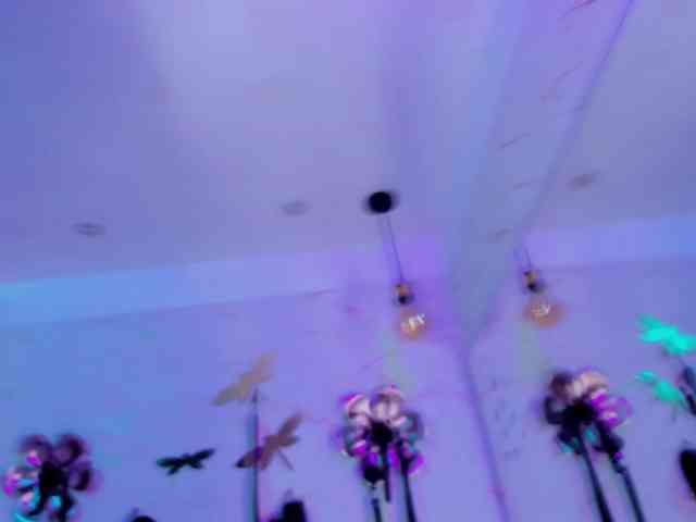 Natasha-Adams webcam