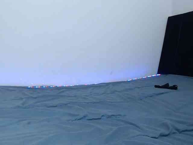 FanyAbbey webcam