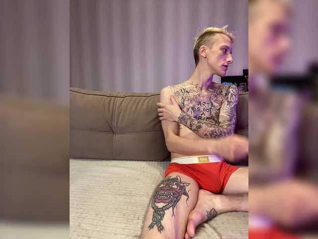 TimViChaos