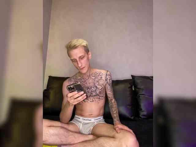 streaming webcam TimViChaos