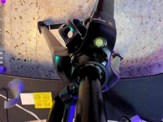 MarianReynolds webcam