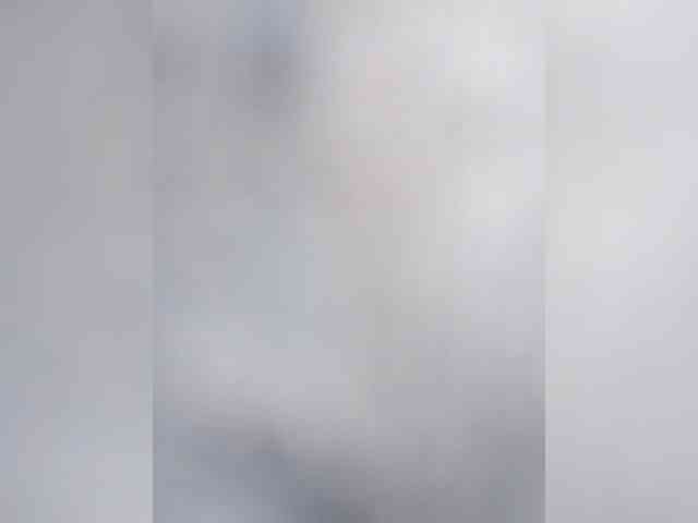 Andrey17373 Andrey17373