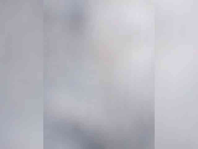 Andrey17373 Andrey17373