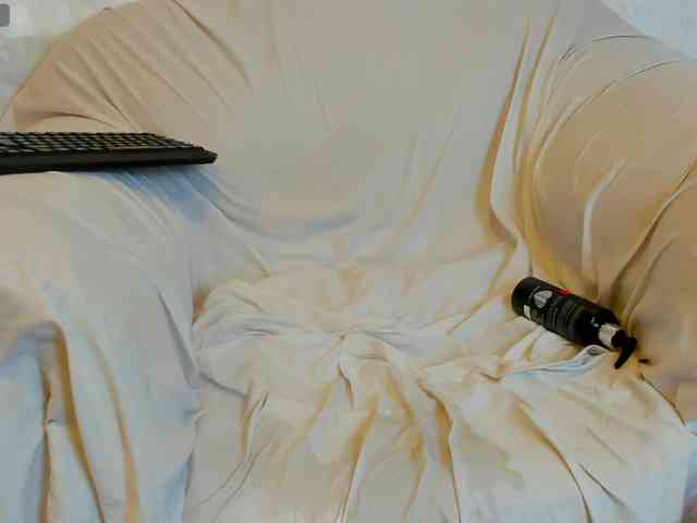 slovea webcam