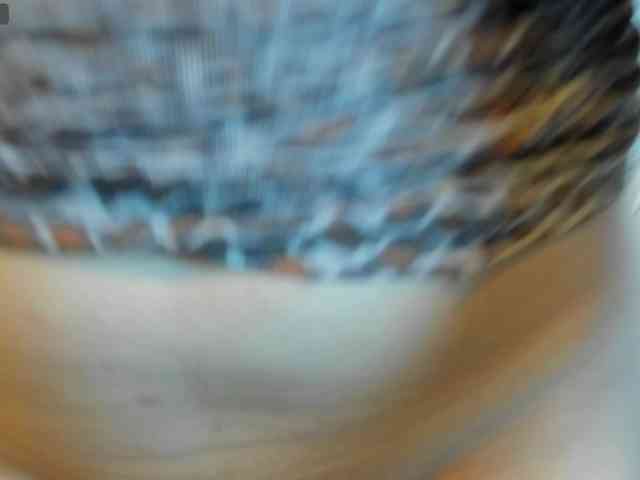 slovea webcam