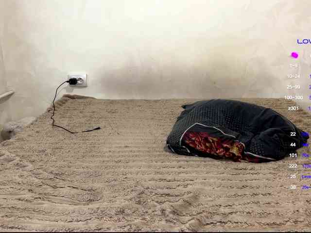 viktoriasister42 webcam