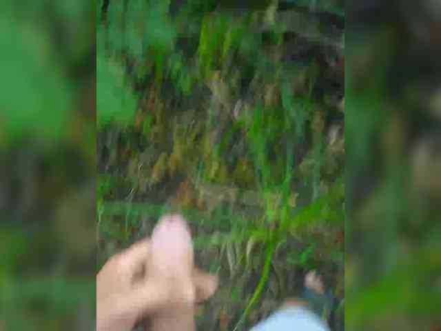 Johni-2