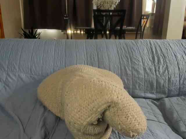 Saandruskaa webcam