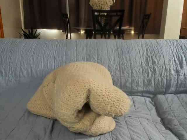 Saandruskaa webcam
