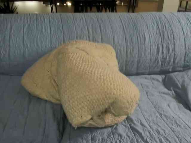 Saandruskaa webcam