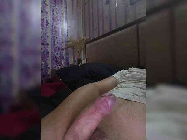 Pipl833