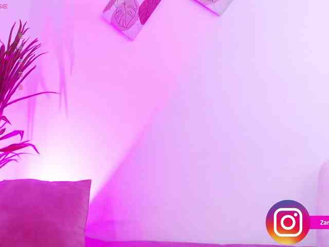 Zaradavis webcam