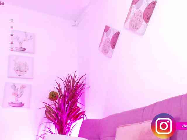 Zaradavis webcam