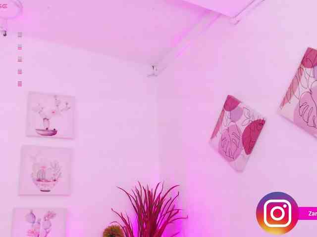 Zaradavis webcam