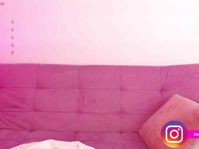 Zaradavis webcam
