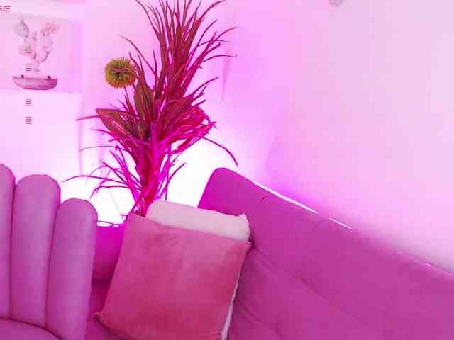 Zaradavis webcam