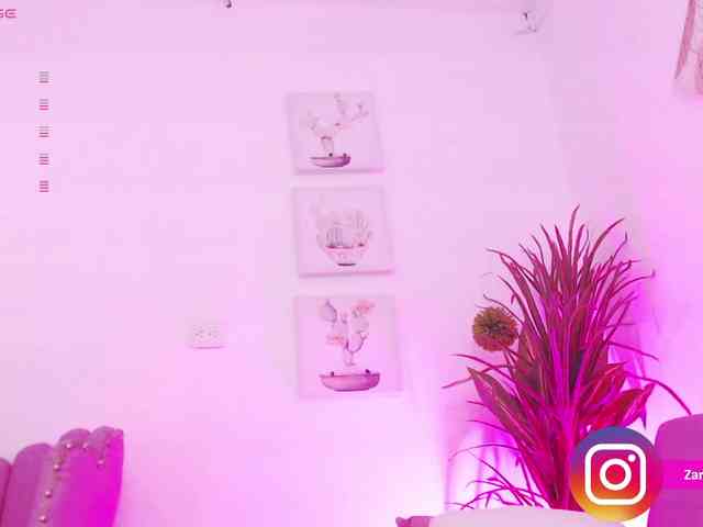 Zaradavis webcam