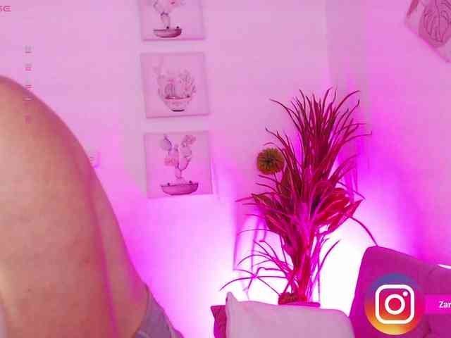 Zaradavis webcam