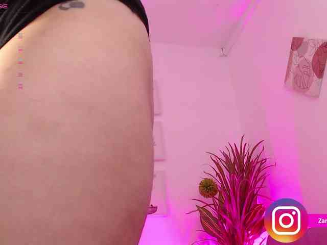 Zaradavis webcam