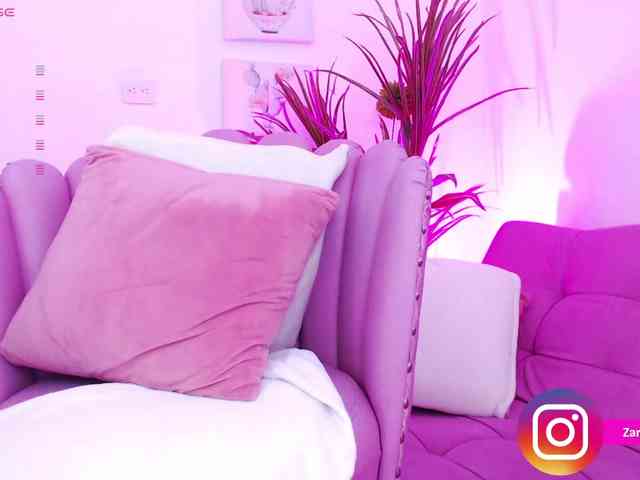 Zaradavis webcam