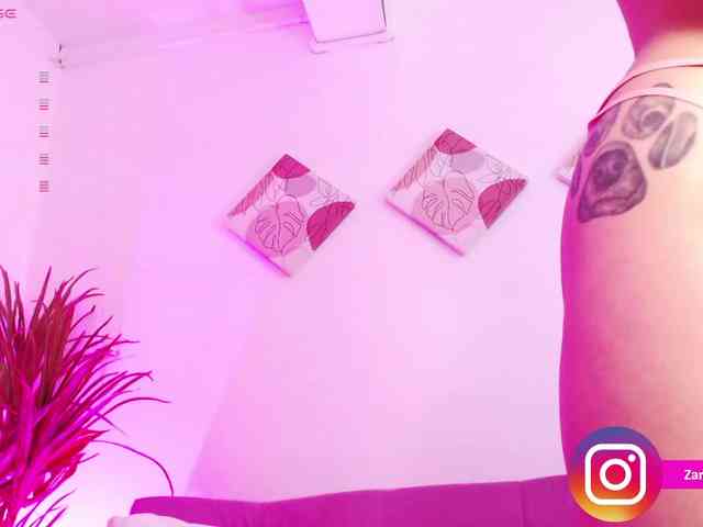 Zaradavis webcam