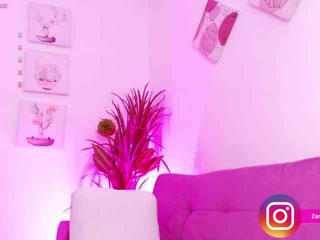 Zaradavis webcam