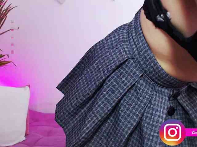 Zaradavis webcam