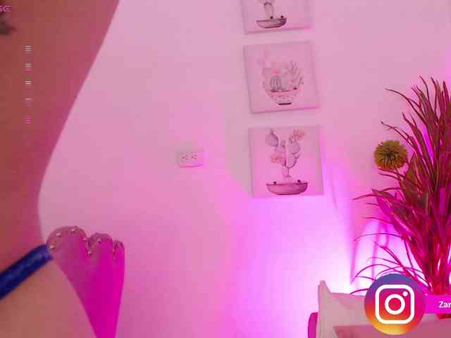 Zaradavis webcam