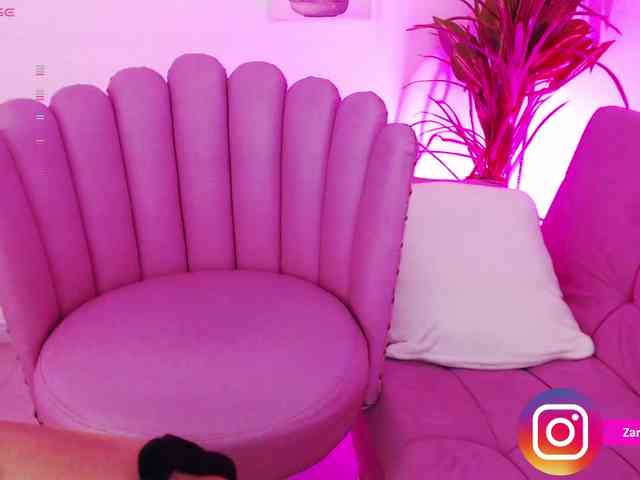 Zaradavis webcam