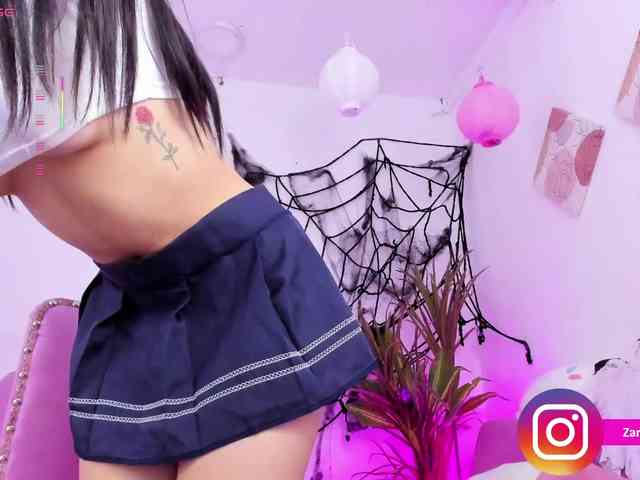 Zaradavis webcam